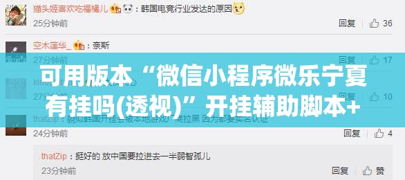 可用版本“微信小程序微乐宁夏有挂吗(透视)”开挂辅助脚本+详细开挂安装教程