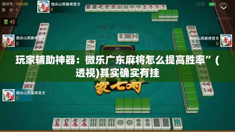 玩家辅助神器：微乐广东麻将怎么提高胜率”(透视)其实确实有挂