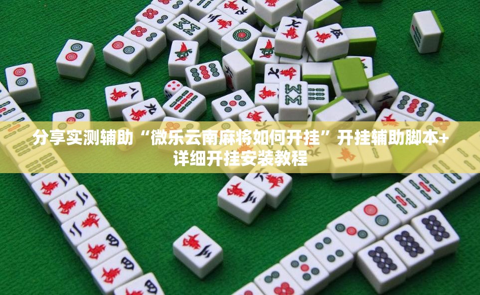 分享实测辅助“微乐云南麻将如何开挂”开挂辅助脚本+详细开挂安装教程