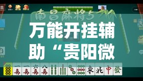 万能开挂辅助“贵阳微乐捉鸡麻将开挂辅助器通用版”2026开挂教程步骤
