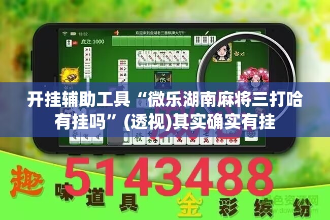 开挂辅助工具“微乐湖南麻将三打哈有挂吗”(透视)其实确实有挂