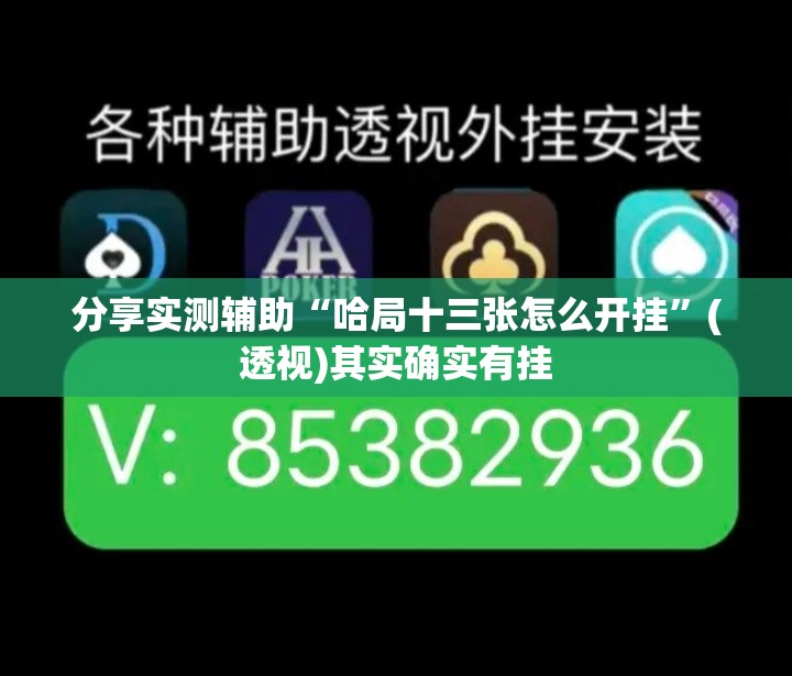 分享实测辅助“哈局十三张怎么开挂	”(透视)其实确实有挂