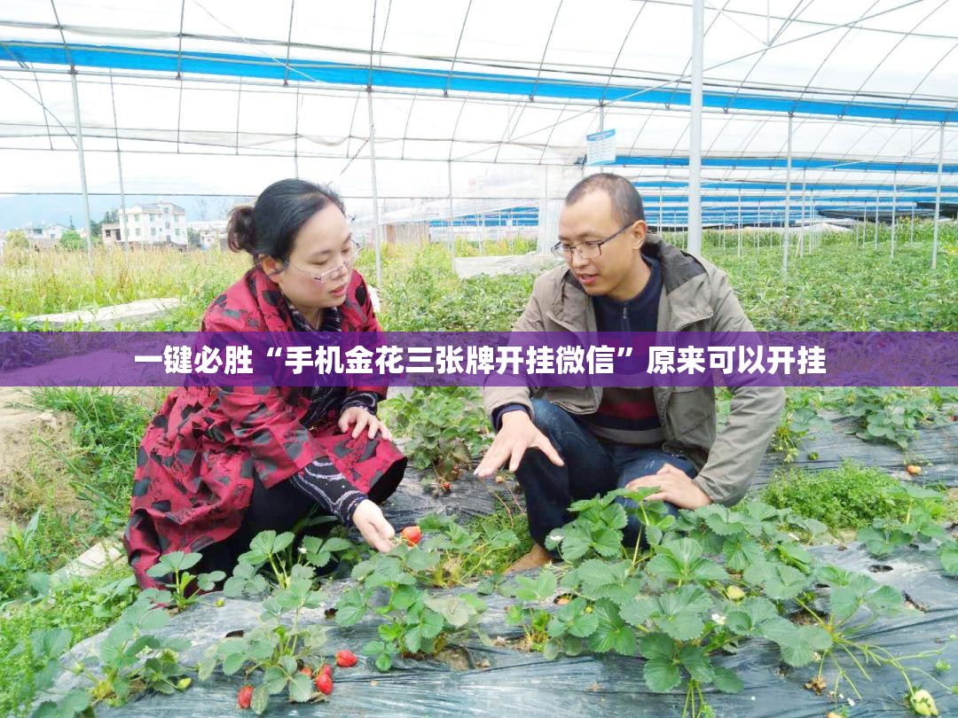 一键必胜“手机金花三张牌开挂微信”原来可以开挂