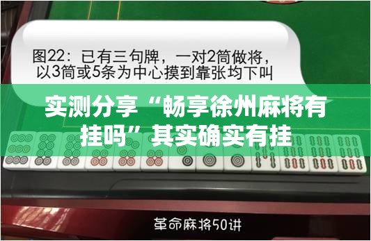 实测分享“畅享徐州麻将有挂吗”其实确实有挂