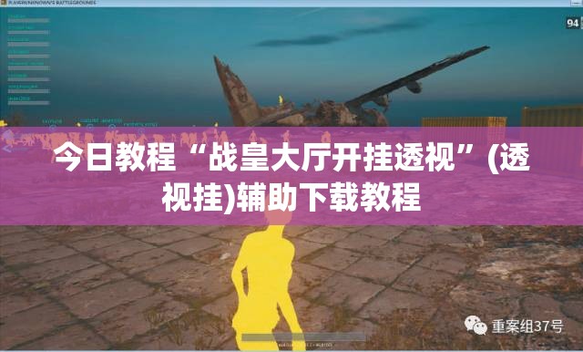今日教程“战皇大厅开挂透视	”(透视挂)辅助下载教程