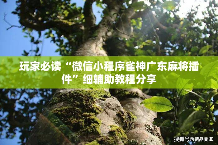 玩家必读“微信小程序雀神广东麻将插件”细辅助教程分享