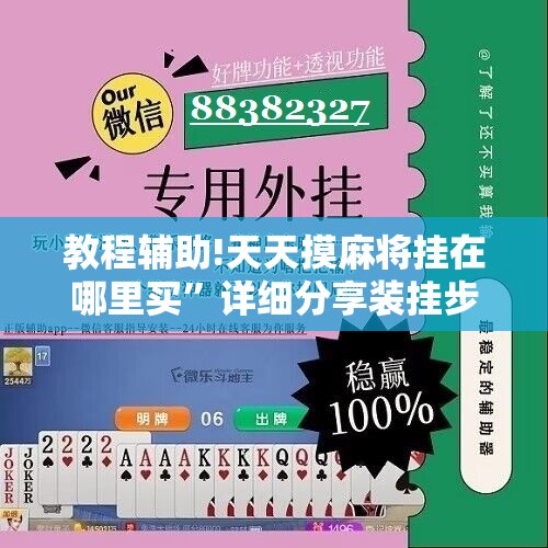 教程辅助!天天摸麻将挂在哪里买”详细分享装挂步骤