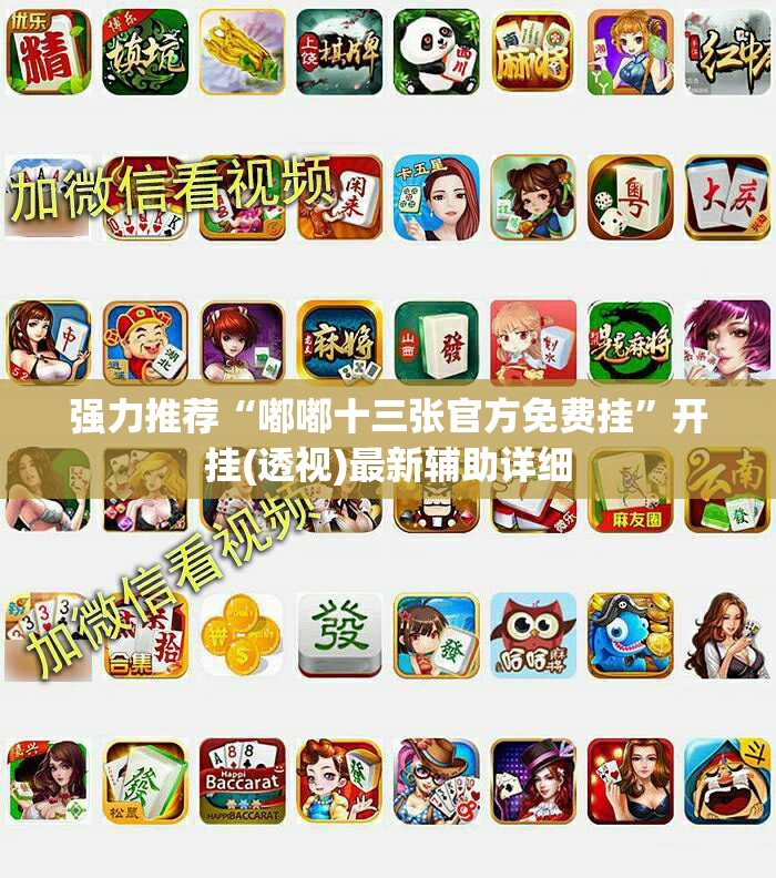 强力推荐“嘟嘟十三张官方免费挂”开挂(透视)最新辅助详细