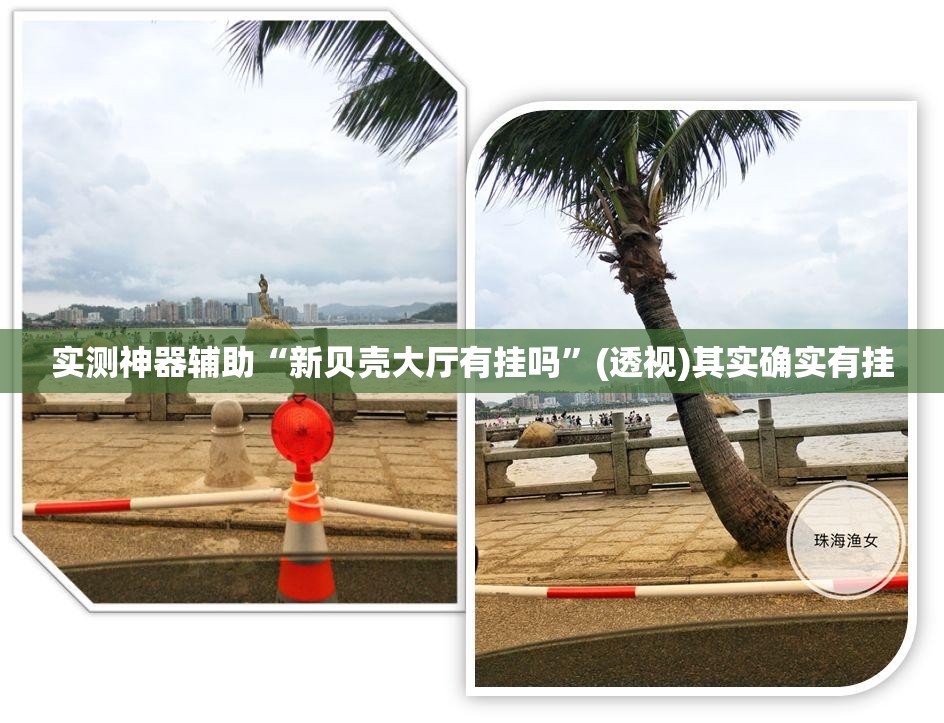 实测神器辅助“新贝壳大厅有挂吗	”(透视)其实确实有挂