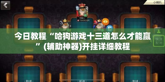 今日教程“哈狗游戏十三道怎么才能赢”(辅助神器)开挂详细教程