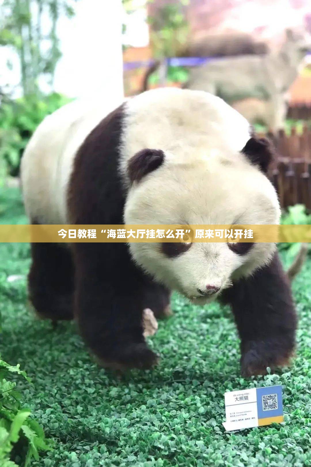 今日教程“海蓝大厅挂怎么开”原来可以开挂