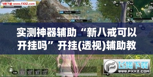 实测神器辅助“新八戒可以开挂吗”开挂(透视)辅助教程