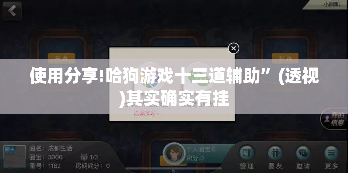 使用分享!哈狗游戏十三道辅助”(透视)其实确实有挂