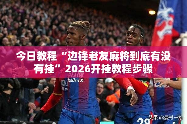 今日教程“边锋老友麻将到底有没有挂”2026开挂教程步骤