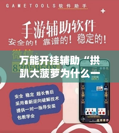万能开挂辅助“拱趴大菠萝为什么一直输(透视)”开挂辅助脚本+详细开挂安装教程