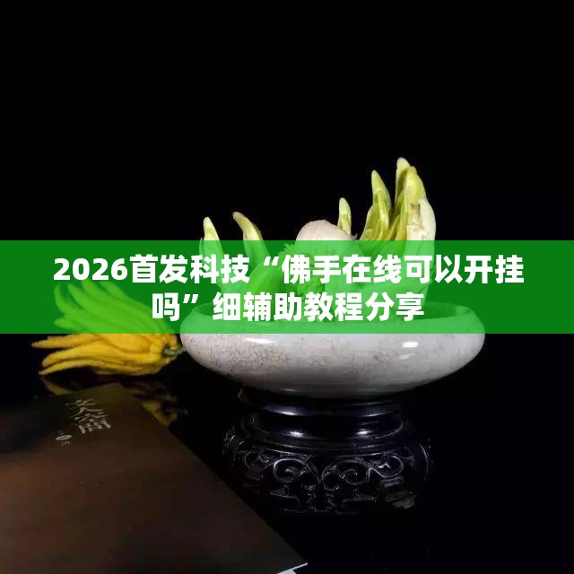2026首发科技“佛手在线可以开挂吗”细辅助教程分享