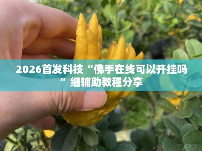 2026首发科技“佛手在线可以开挂吗”细辅助教程分享
