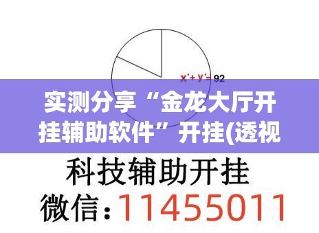实测分享“金龙大厅开挂辅助软件”开挂(透视)最新辅助详细