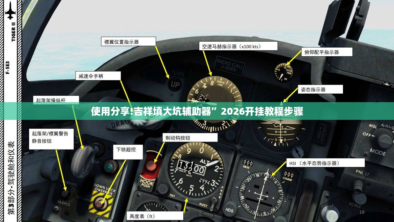 使用分享!吉祥填大坑辅助器”2026开挂教程步骤