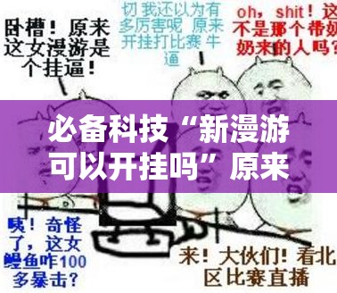 必备科技“新漫游可以开挂吗”原来可以开挂