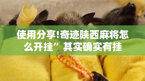 使用分享!奇迹陕西麻将怎么开挂”其实确实有挂