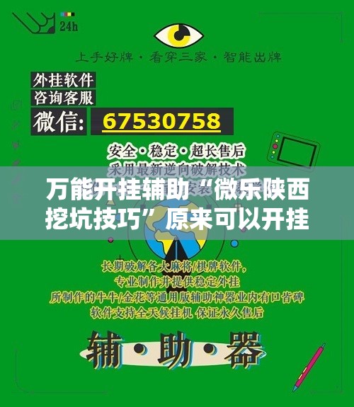 万能开挂辅助“微乐陕西挖坑技巧”原来可以开挂