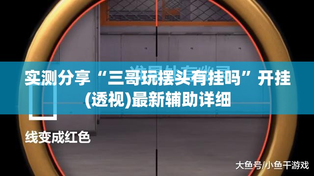 实测分享“三哥玩摆头有挂吗”开挂(透视)最新辅助详细