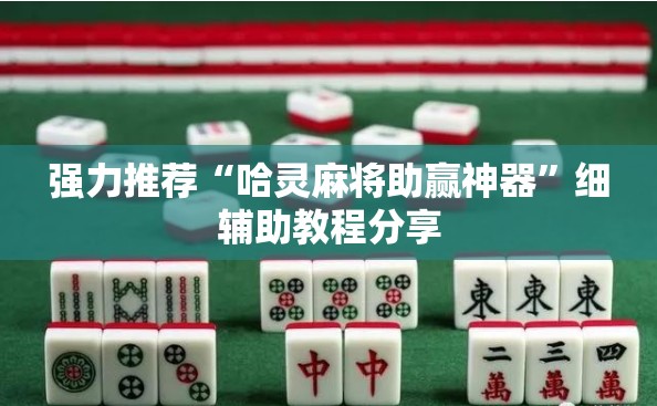 强力推荐“哈灵麻将助赢神器”细辅助教程分享