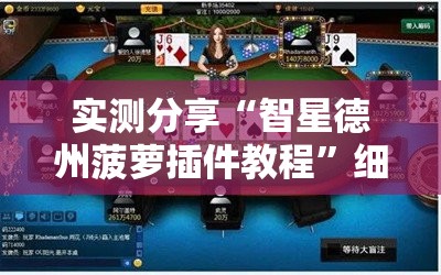 实测分享“智星德州菠萝插件教程”细辅助教程分享