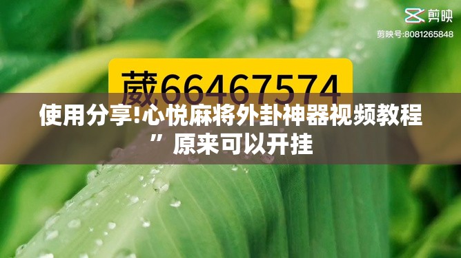 使用分享!心悦麻将外卦神器视频教程”原来可以开挂