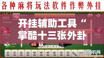 开挂辅助工具“掌酷十三张外卦辅助软件下载”细辅助教程分享