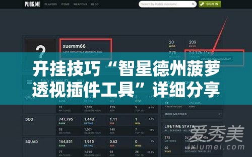 开挂技巧“智星德州菠萝透视插件工具”详细分享装挂步骤