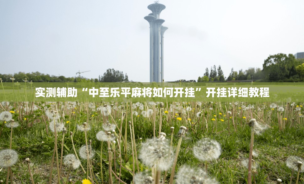 实测辅助“中至乐平麻将如何开挂”开挂详细教程