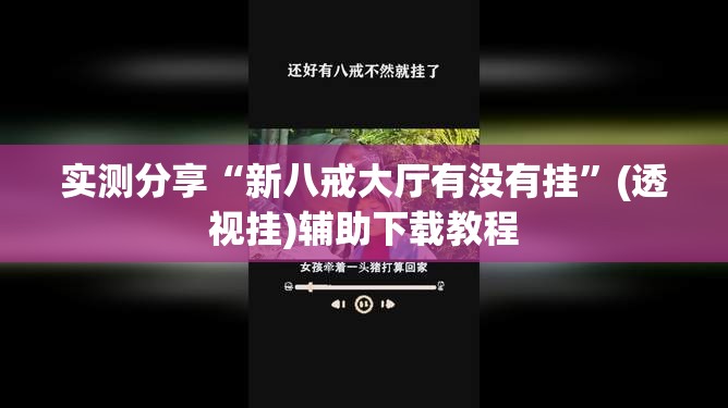 实测分享“新八戒大厅有没有挂”(透视挂)辅助下载教程