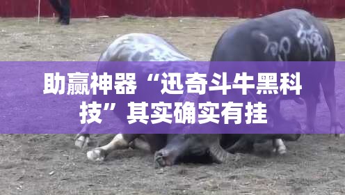 助赢神器“迅奇斗牛黑科技”其实确实有挂