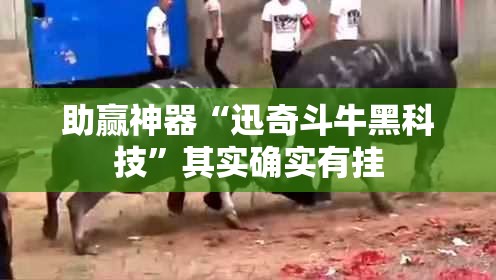助赢神器“迅奇斗牛黑科技”其实确实有挂
