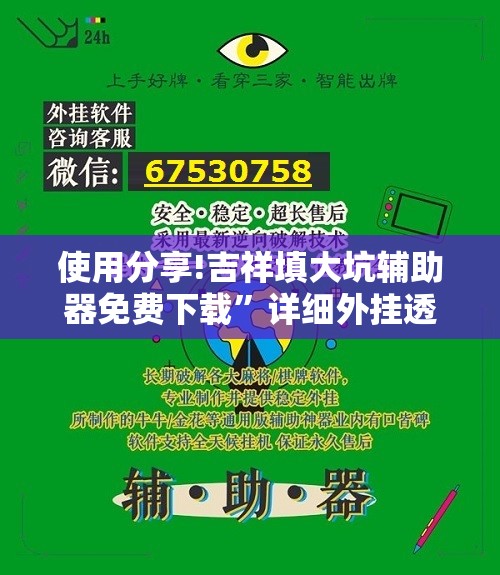 使用分享!吉祥填大坑辅助器免费下载”详细外挂透视辅助软件教程