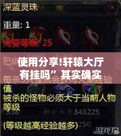 使用分享!轩辕大厅有挂吗	”其实确实有挂