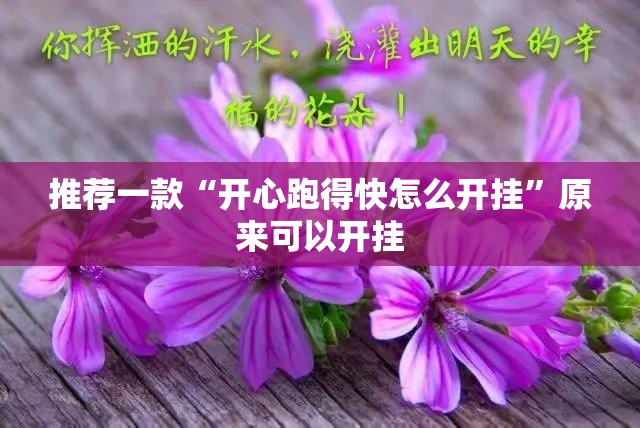 推荐一款“开心跑得快怎么开挂”原来可以开挂