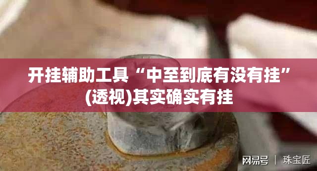 开挂辅助工具“中至到底有没有挂	”(透视)其实确实有挂