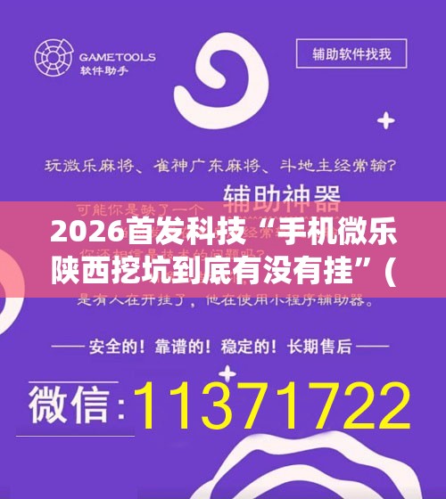 2026首发科技“手机微乐陕西挖坑到底有没有挂”(透视)其实确实有挂