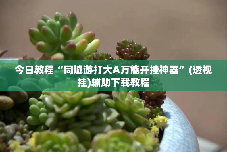 今日教程“同城游打大A万能开挂神器”(透视挂)辅助下载教程