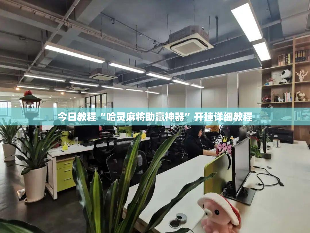 今日教程“哈灵麻将助赢神器”开挂详细教程