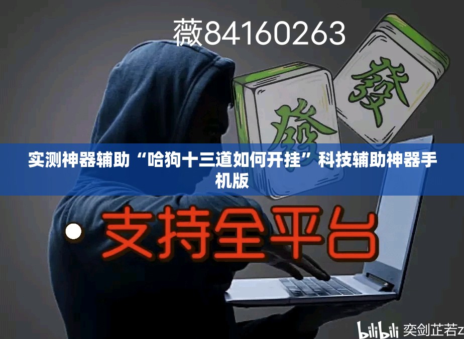 实测神器辅助“哈狗十三道如何开挂”科技辅助神器手机版