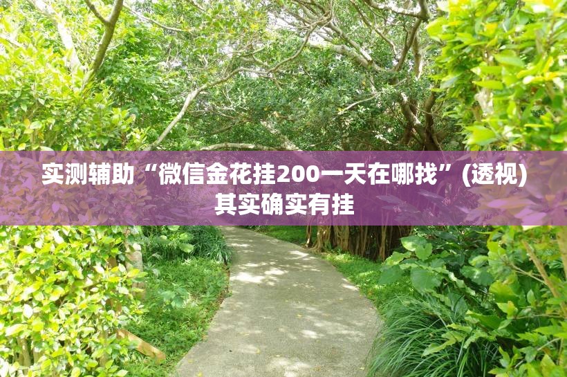 实测辅助“微信金花挂200一天在哪找	”(透视)其实确实有挂