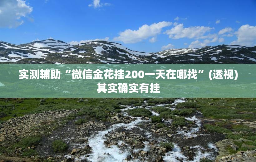 实测辅助“微信金花挂200一天在哪找”(透视)其实确实有挂