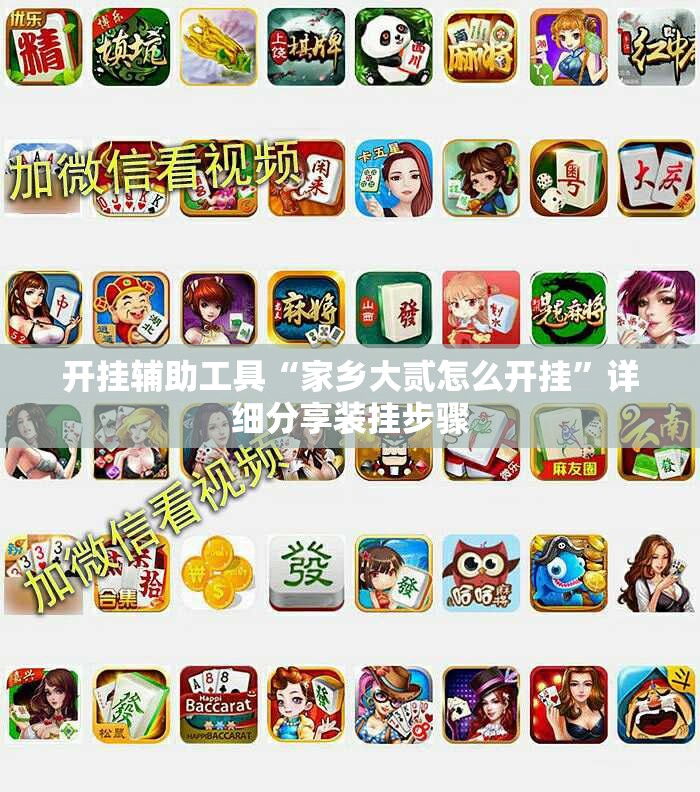 开挂辅助工具“家乡大贰怎么开挂”详细分享装挂步骤