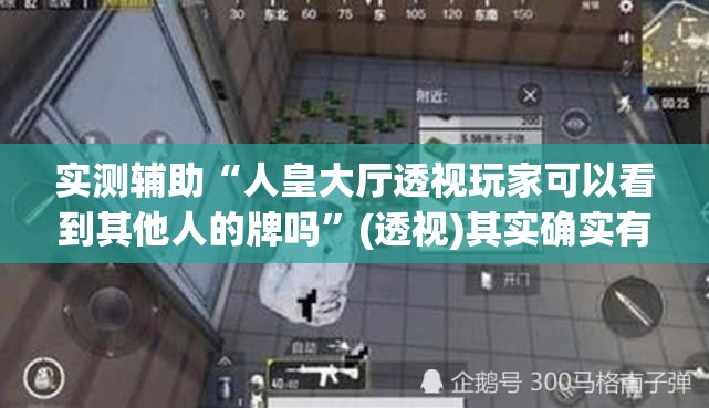 实测辅助“人皇大厅透视玩家可以看到其他人的牌吗”(透视)其实确实有挂