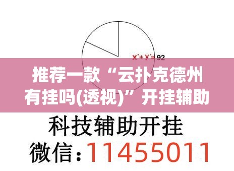 推荐一款“云扑克德州有挂吗(透视)”开挂辅助脚本+详细开挂安装教程