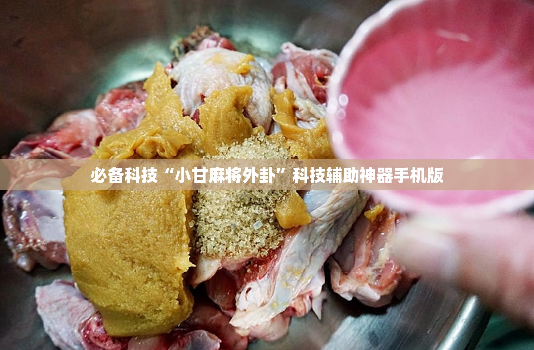 必备科技“小甘麻将外卦	”科技辅助神器手机版